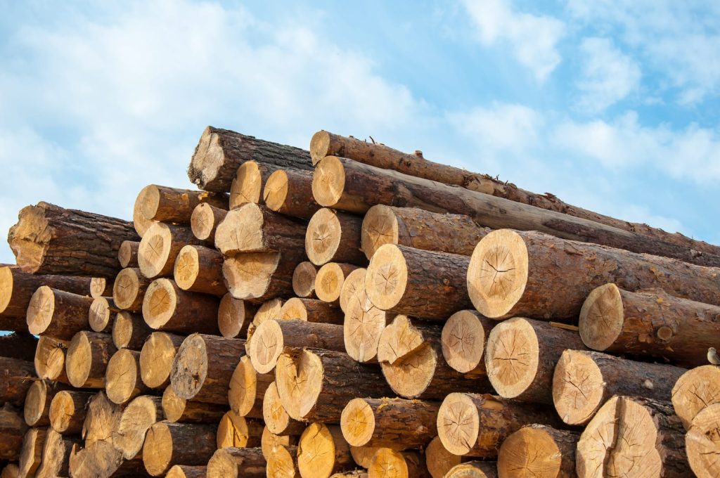 Cách xử lý gỗ tránh cong vênh hiệu quả và kỹ thuật bảo quản 6 timber vs wood featured
